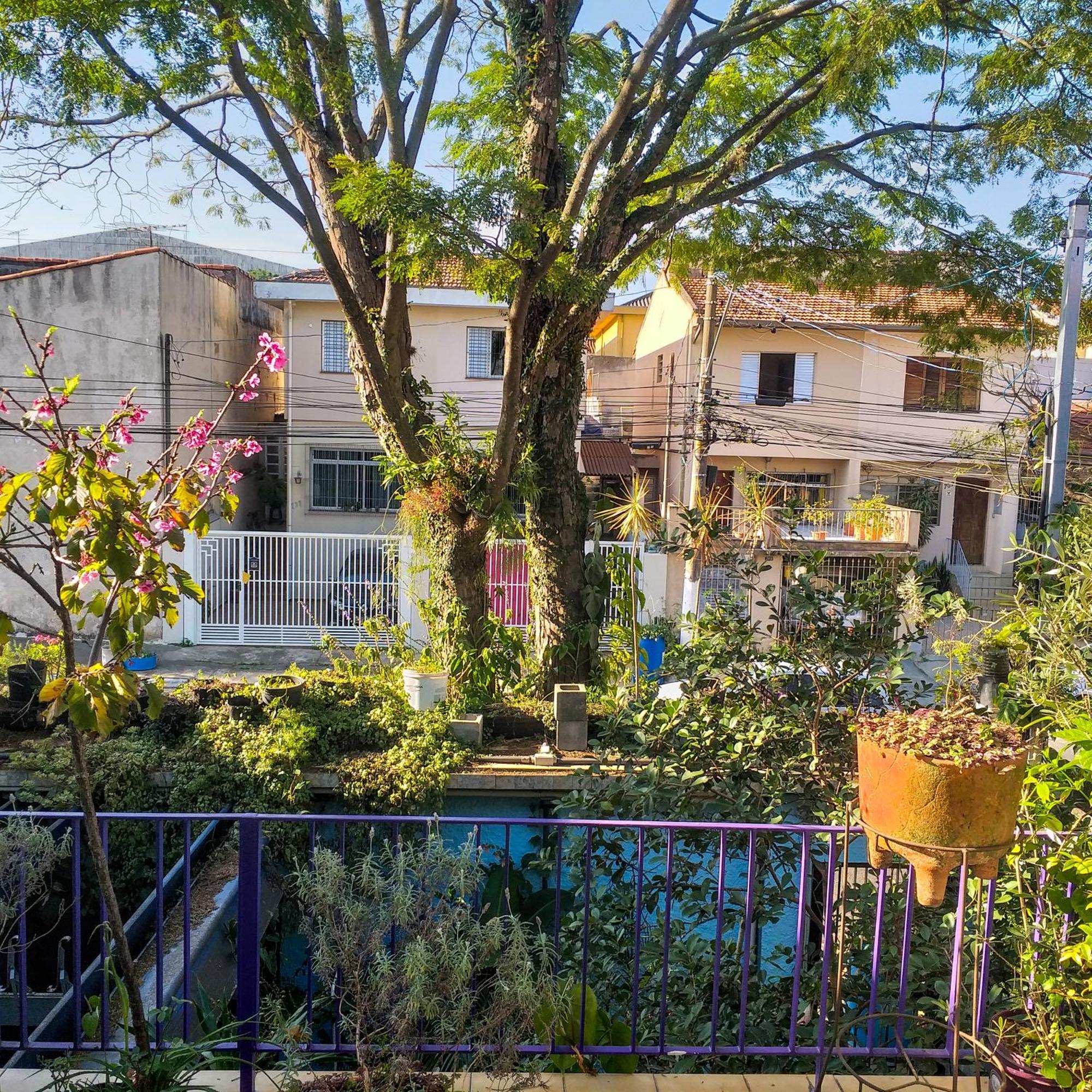 Micasa Hostel - Congonhas São Paulo Zewnętrze zdjęcie